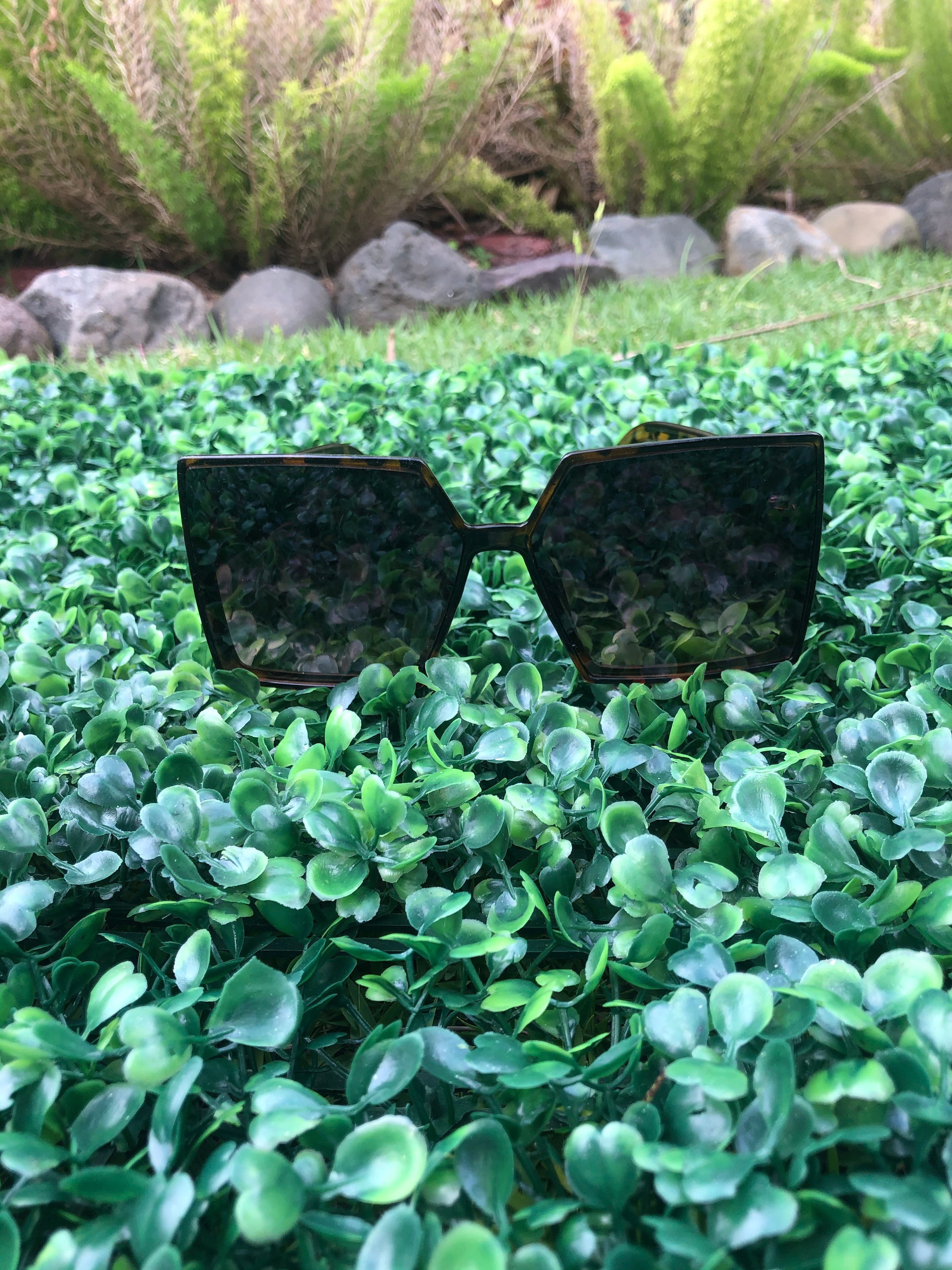 Camelia Sunglasses