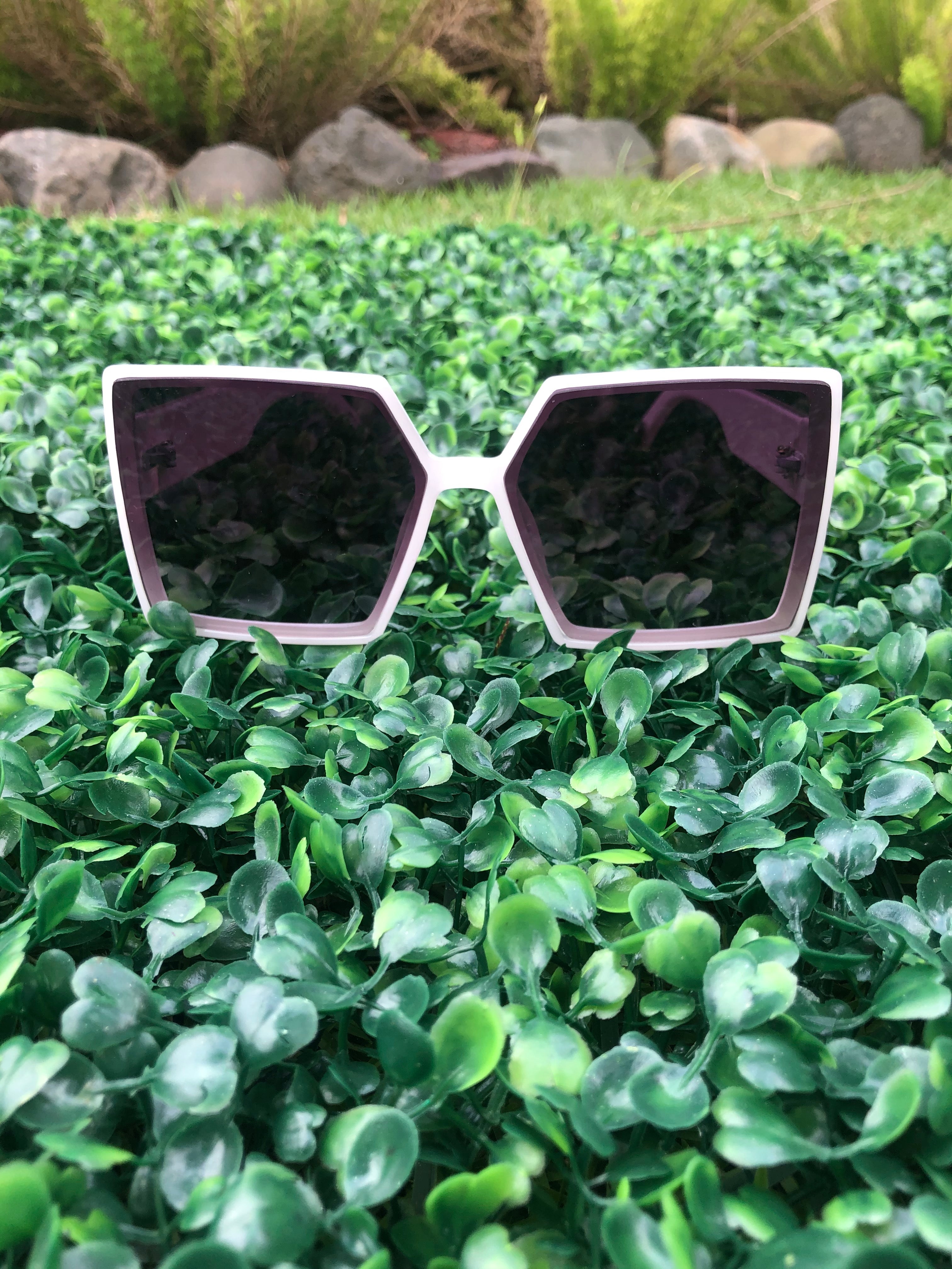 Camelia Sunglasses